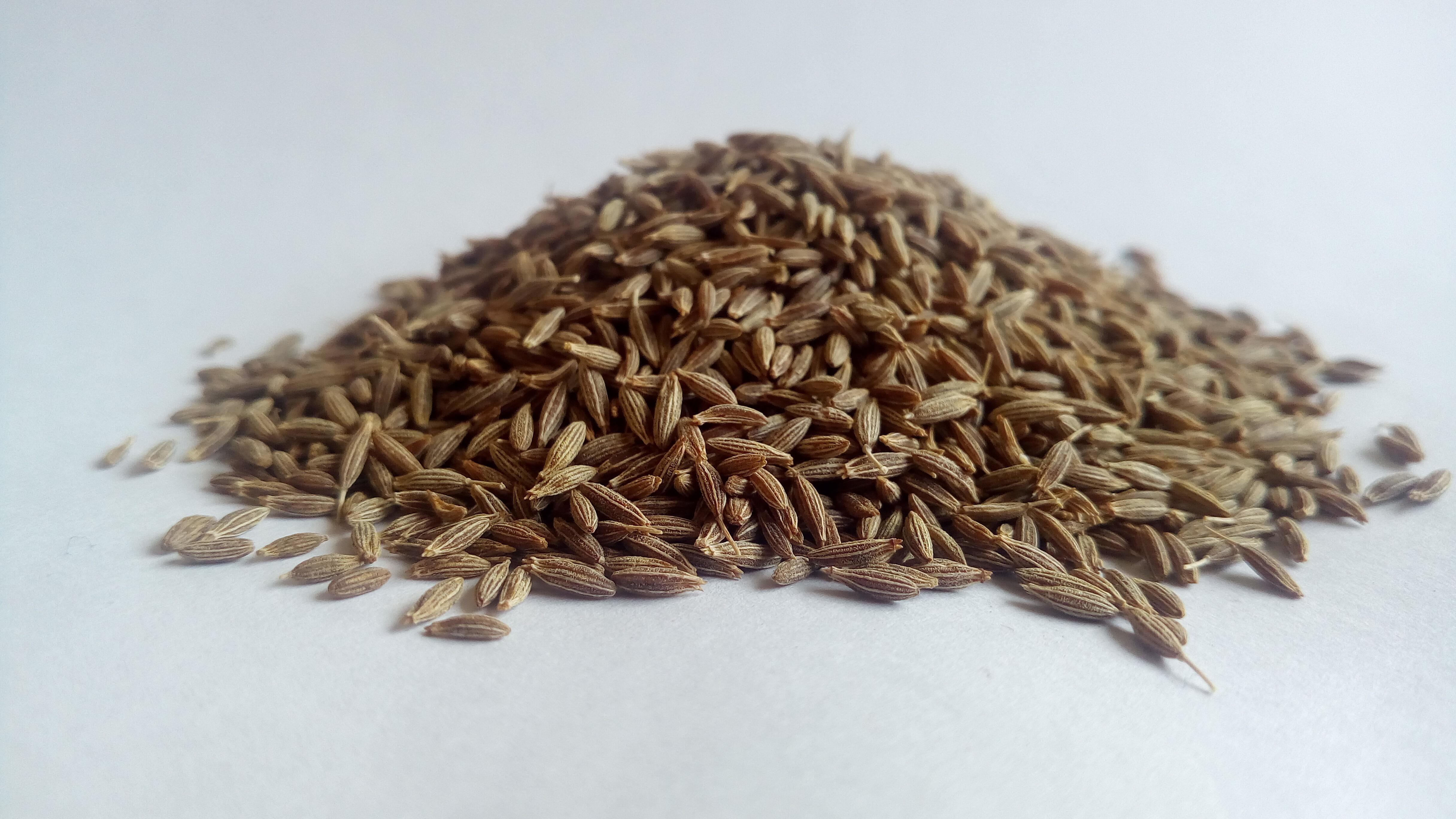Cumin Seeds